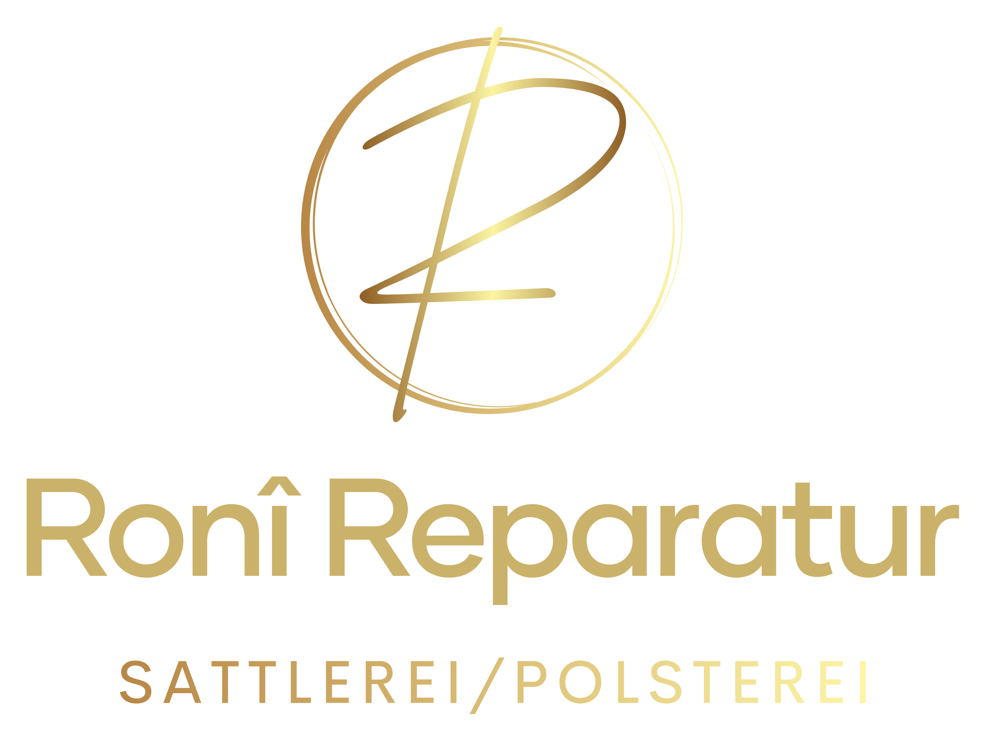 Ronî Reparatur